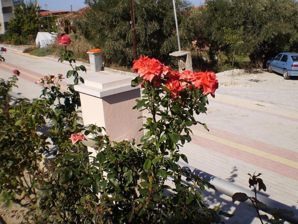 Apartment Anatolia Kriopigi